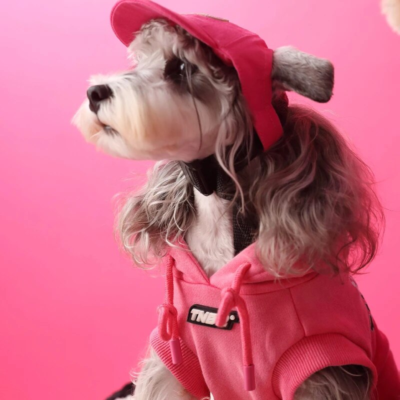 Gradient Color Casual Sleeveless Pet Dog Sweatshirt Winter Dog Warm Hoodie Dog Sweater