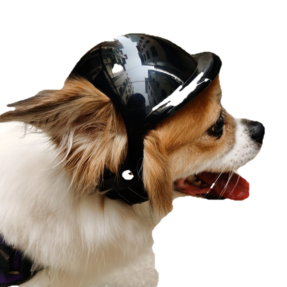 Pet Dog Helmet For Bike Motorcycle