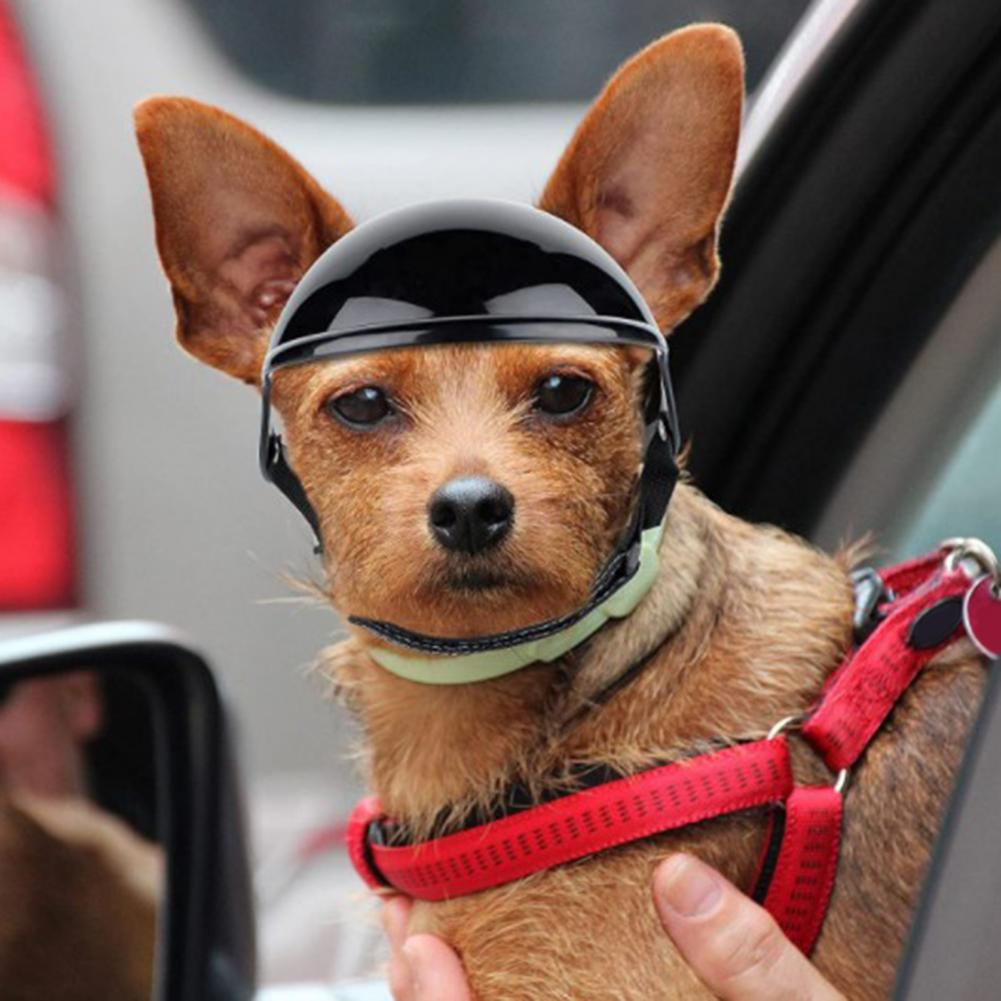 Pet Dog Helmet For Bike Motorcycle