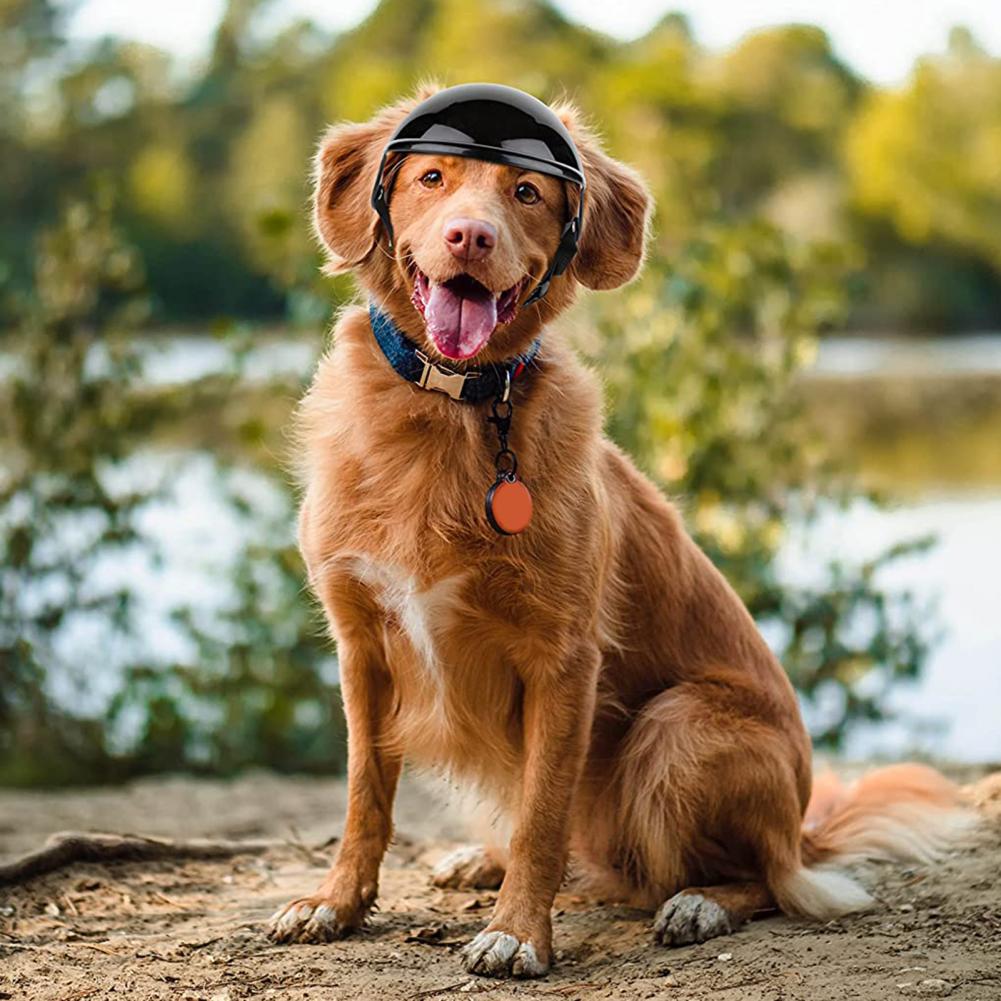 Pet Dog Helmet For Bike Motorcycle