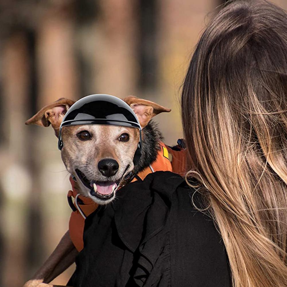 Pet Dog Helmet For Bike Motorcycle