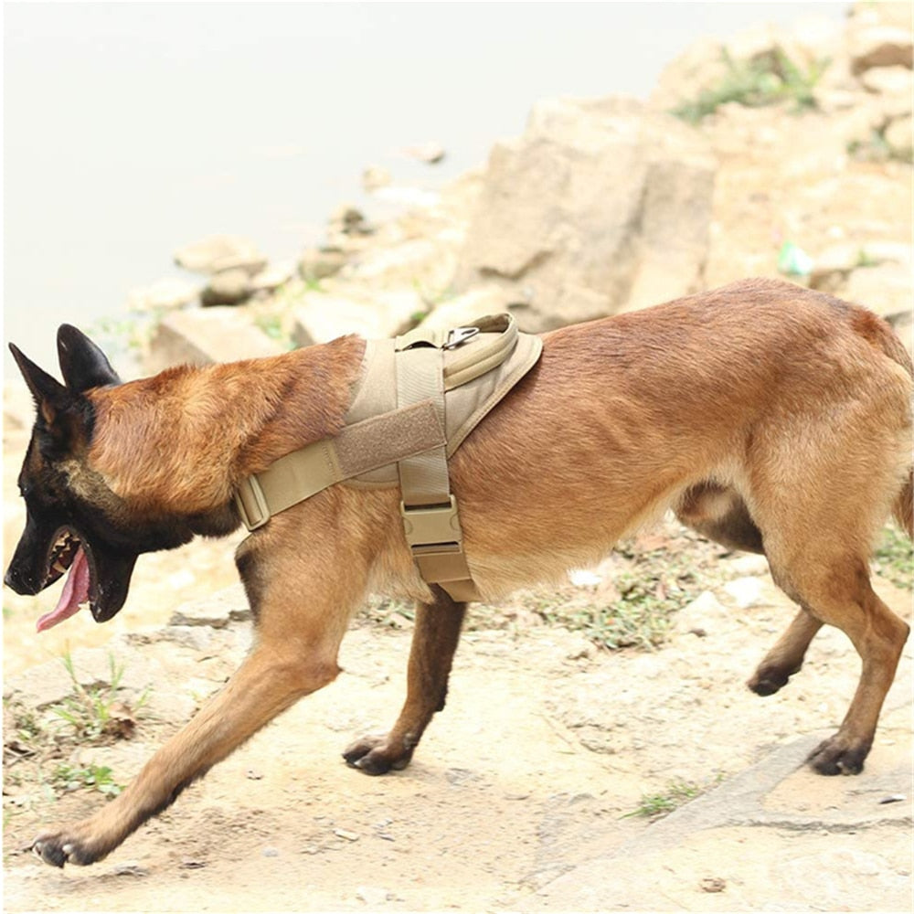 Dog Harness Leash Set Tactical Chest Vest Adjustable