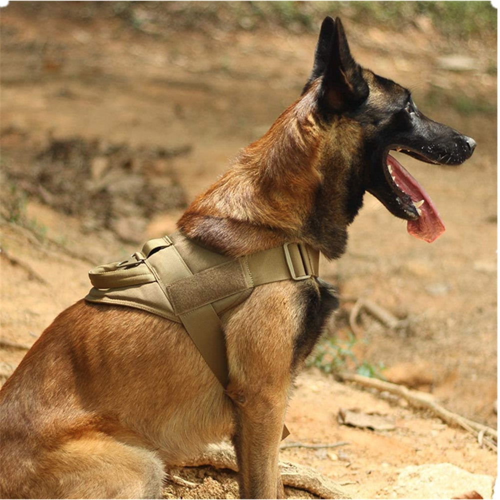 Dog Harness Leash Set Tactical Chest Vest Adjustable