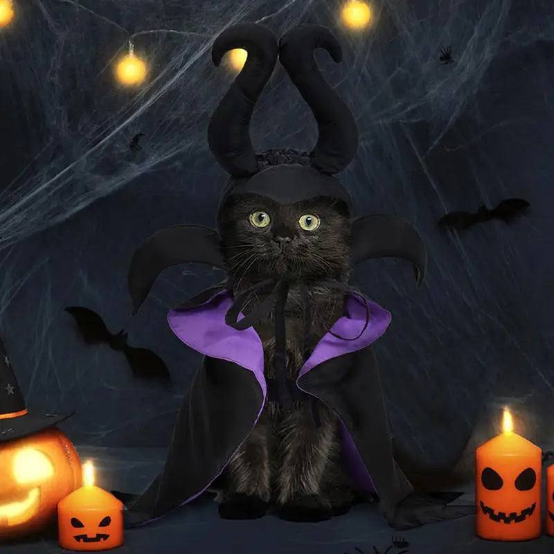 Halloween Dog Witch Cloak Halloween Cloak Hat Outfit Cosplay Clothes