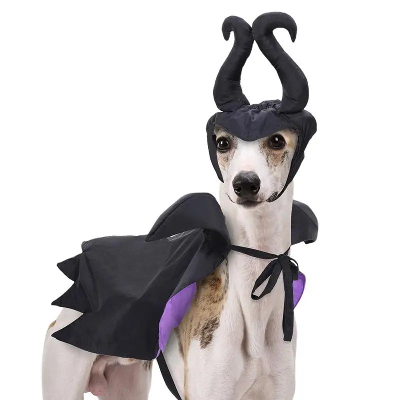 Halloween Dog Witch Cloak Halloween Cloak Hat Outfit Cosplay Clothes