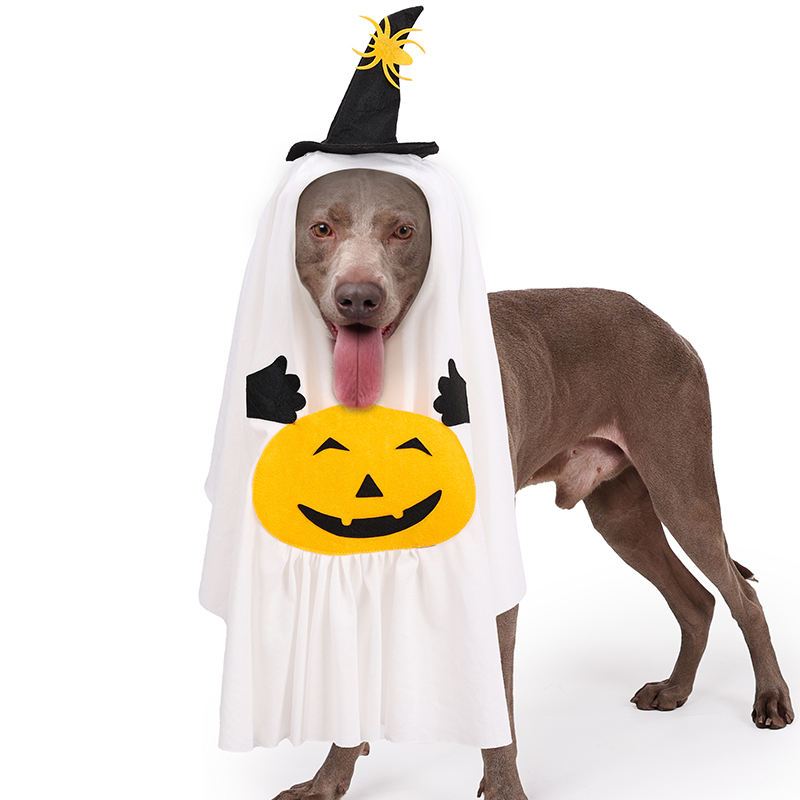 Halloween Ghost Dog Pet Costume Set White Ghost Cosplay Outfit