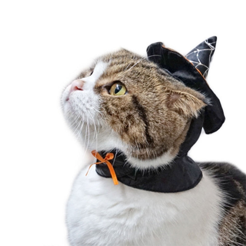 Pet Halloween Dress up Hat Cosplay Witch Hat