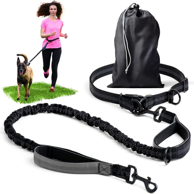 Hands Free Dog Leash Professional Harness with Reflective Stitches