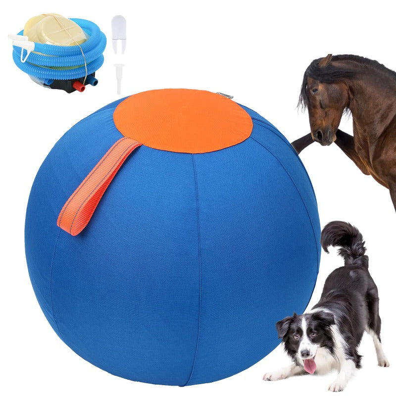 Herding Ball with Hand Pump For Dogs Interactive Dog Toys