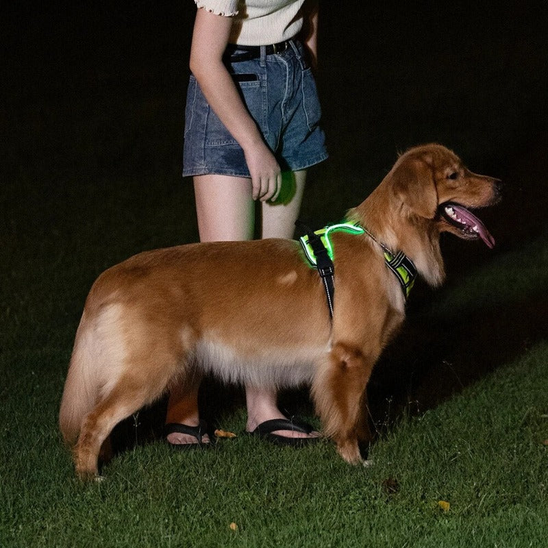 LED Dog Harness Reflective Adjustable Durable Light Up Dog Harness