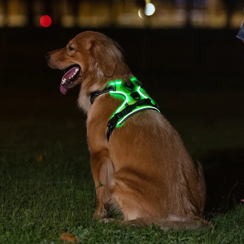 LED Dog Harness Reflective Adjustable Durable Light Up Dog Harness