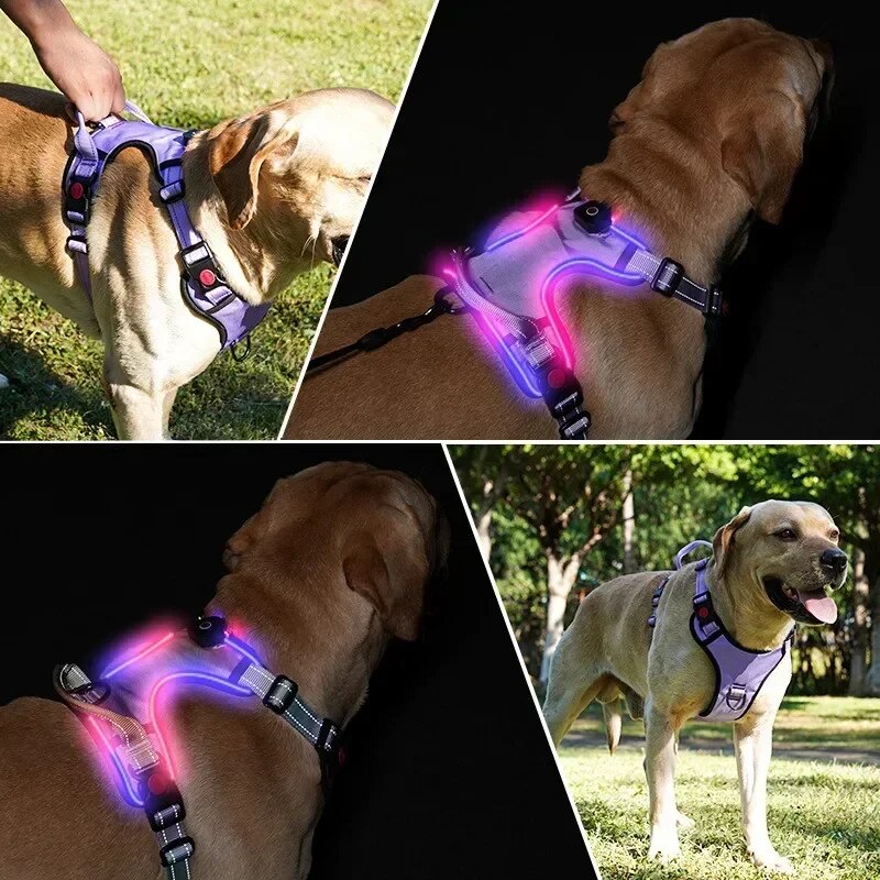 LED No Pull Dog Harness Reflective Pet Harness 2 Leash Dog Vest