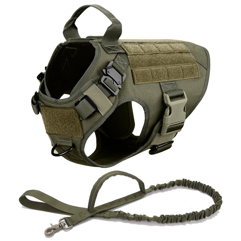 Large Dog Harness And Leash Set Training Walking Vest