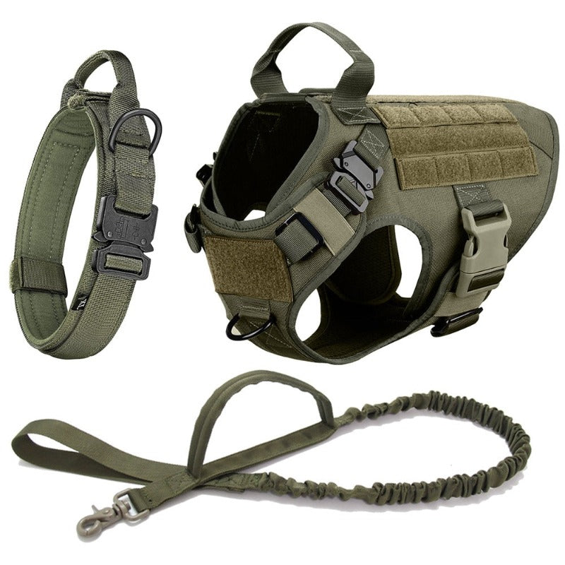 Large Dog Harness And Leash Set Training Walking Vest