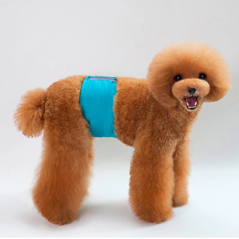Male Dog Diaper Wraps Breathable Dog Physical Pant Dog Underwear