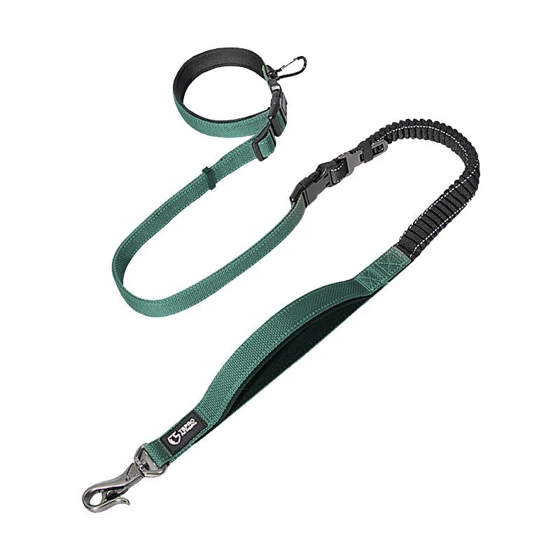 Multifunctional Dog Leash Shock Absorbing Reflective Dog Leash For Dogs Walking