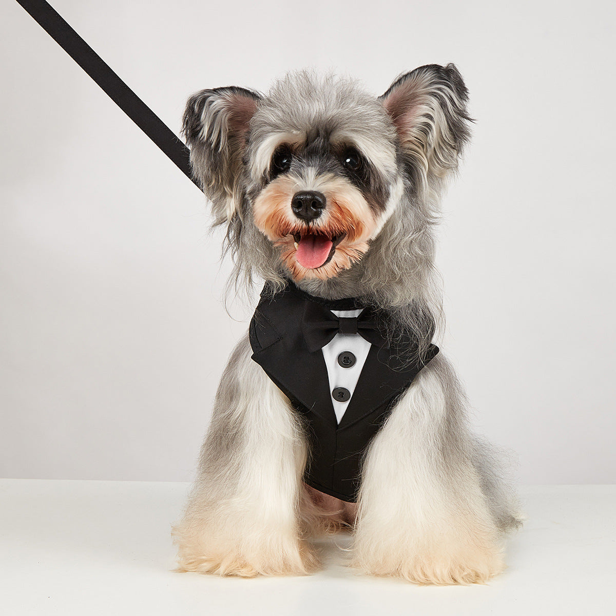 Pet Suit Harness For Large Medium And Small Dogs Dog Tuxedo Costume Formal Shirt