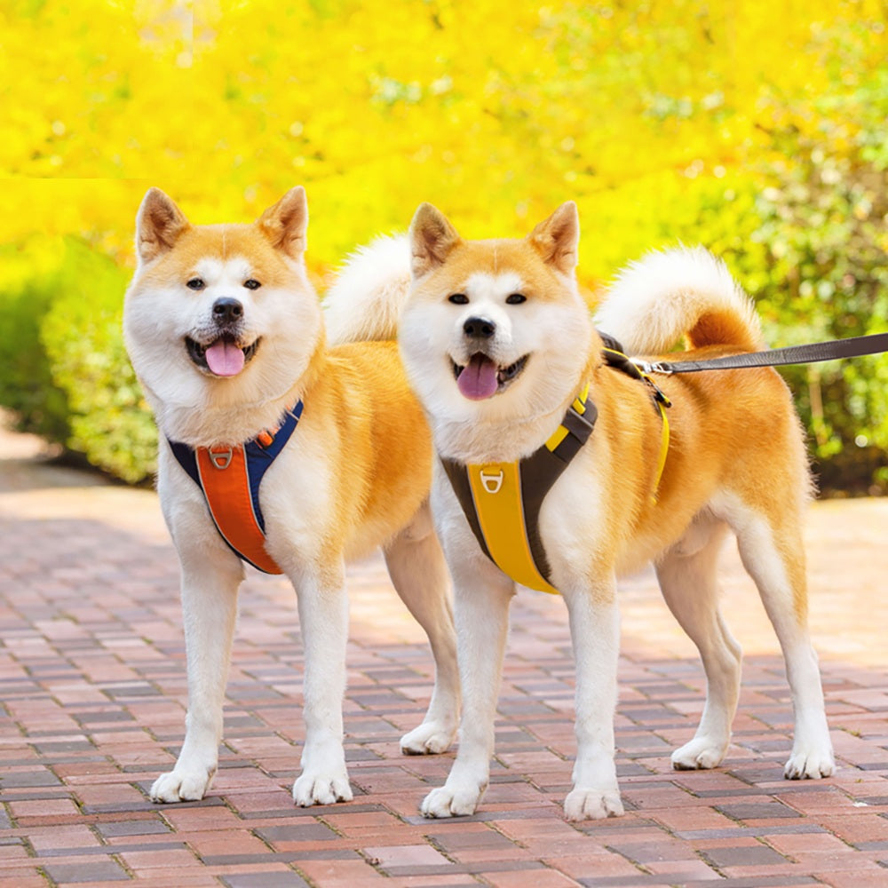 Nylon Dog Harness With Storage Bag Outdoor Adventure Safety Reflective Dog Vest