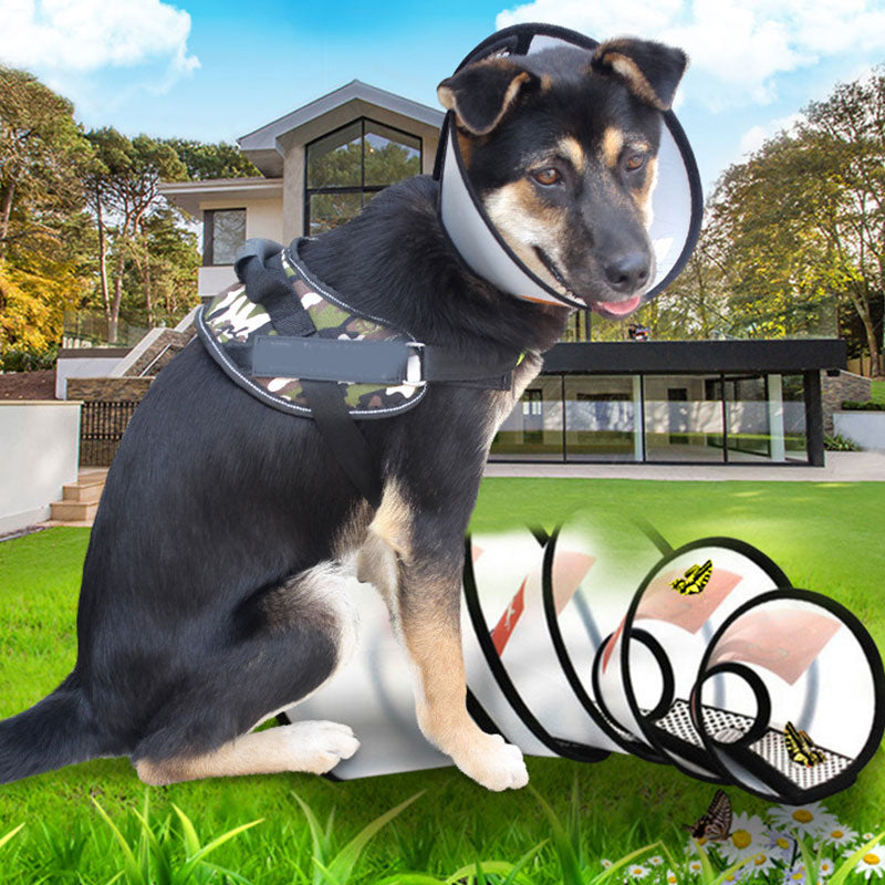 Cat Anti-bite Collar Transparent Elizabethan Collar Circle