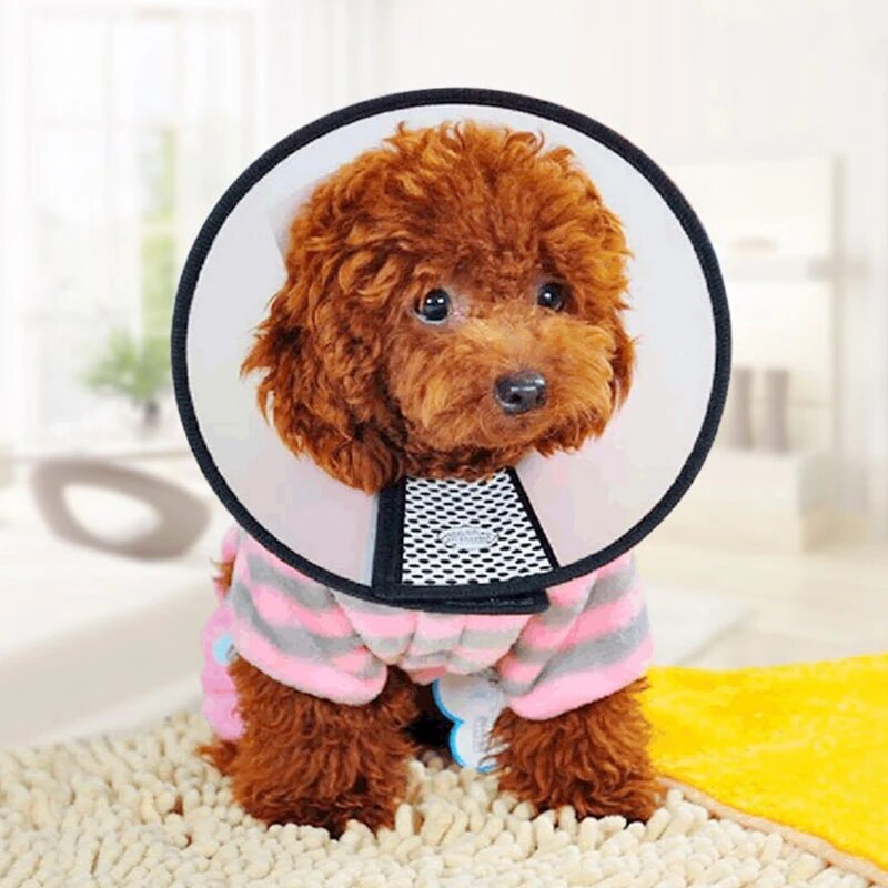Cat Anti-bite Collar Transparent Elizabethan Collar Circle