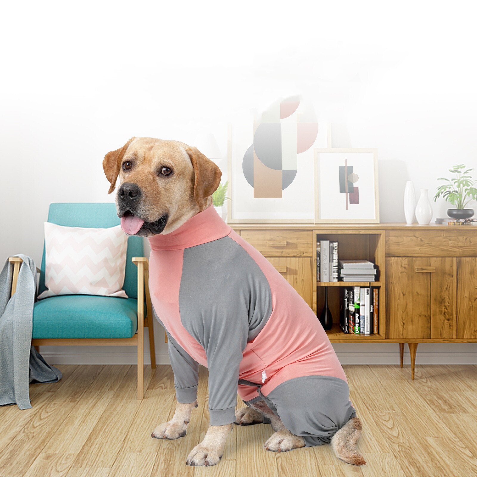 Pet Dog Four-legged Clothes Anti-hair Loss High Elasticity Home Clothes Crew Neck Sleepwear Pajamas