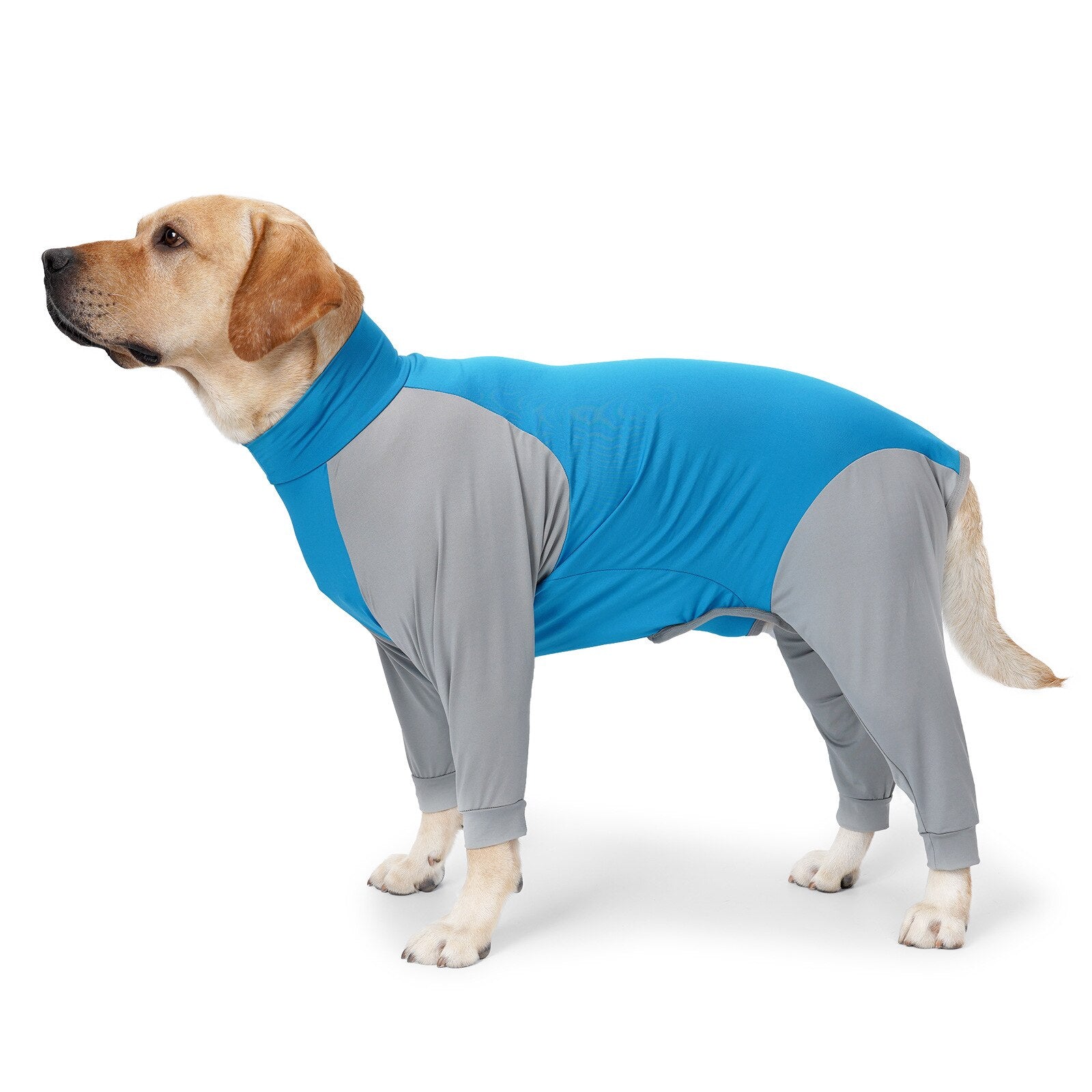 Pet Dog Four-legged Clothes Anti-hair Loss High Elasticity Home Clothes Crew Neck Sleepwear Pajamas