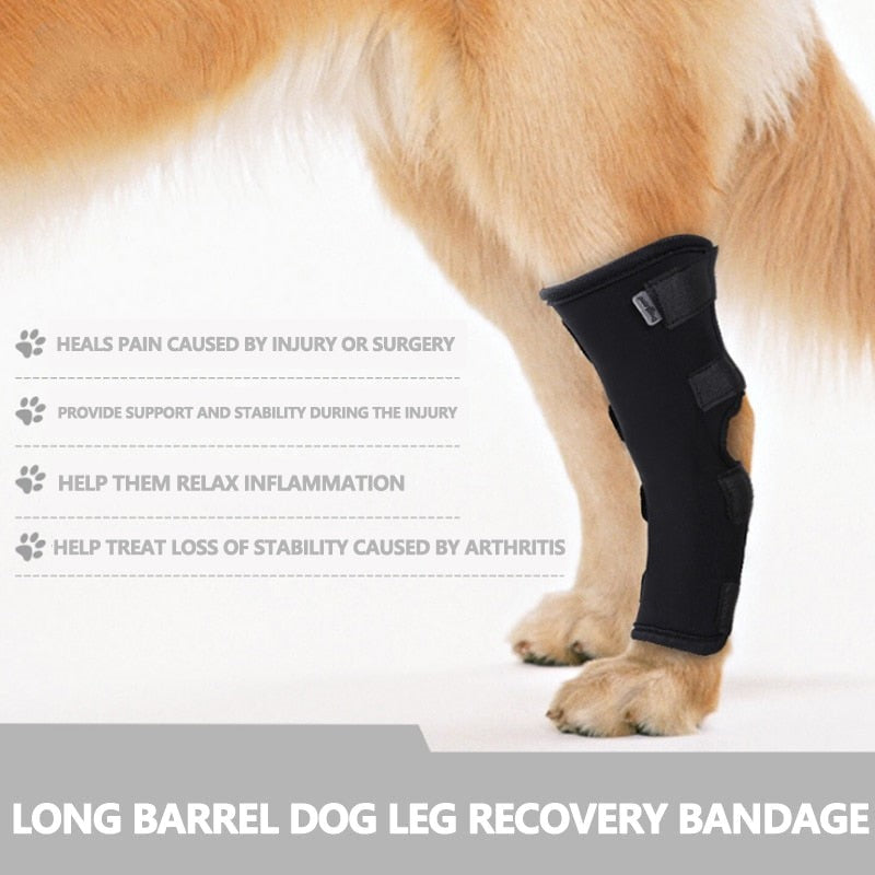 Pet Dog Knee Pads Dog Support Brace For Leg Injury