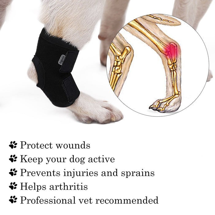 Pet Dog Leg Brace Pet Bandages Knee Hock Straps