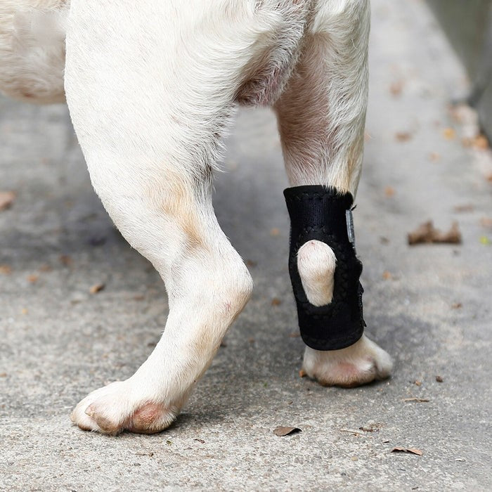 Pet Dog Leg Brace Pet Bandages Knee Hock Straps