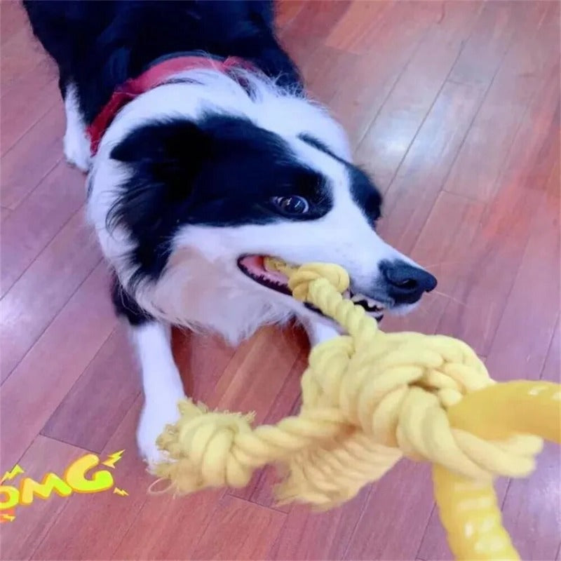 Pet Dog Toy Dog Bite Rope Training Toys