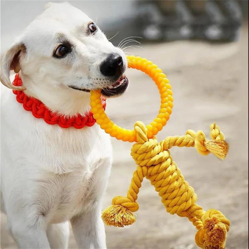 Pet Dog Toy Dog Bite Rope Training Toys
