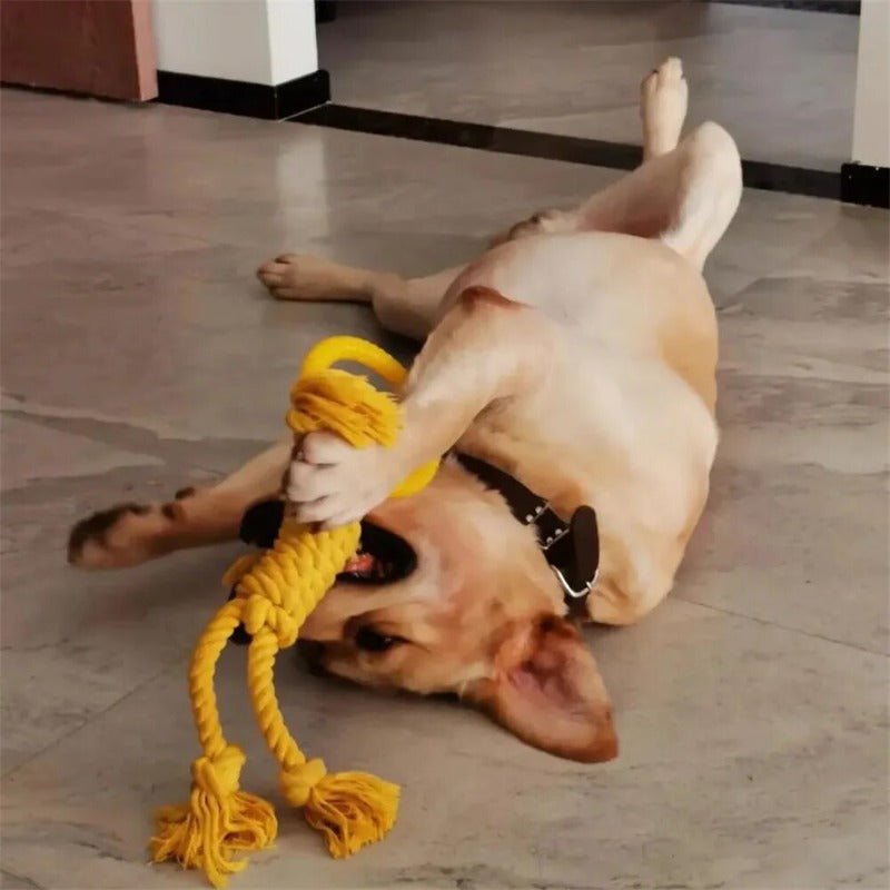 Pet Dog Toy Dog Bite Rope Training Toys