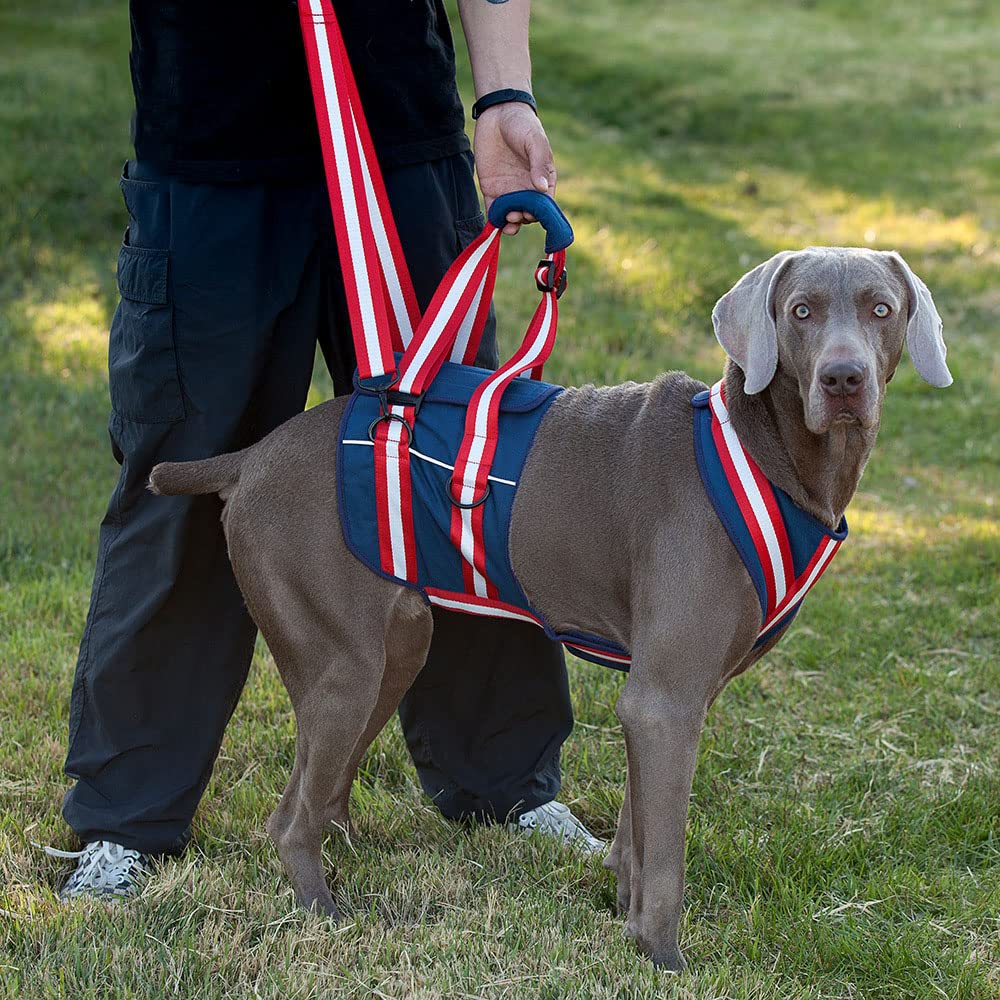 Dog Sling Harness Pet Dog Traction Belt Harness For Large Medium Small Dogs