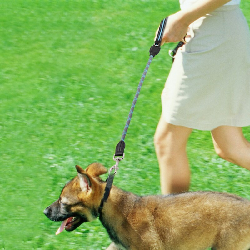 Short Reflective Dog Leash Durable Leather Nylon Dog  Leashes