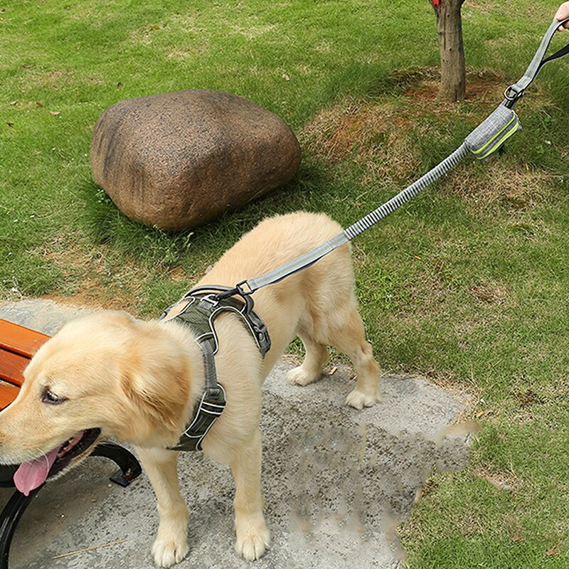 Oxford Cloth Portable Pet Waste Bag Dispenser