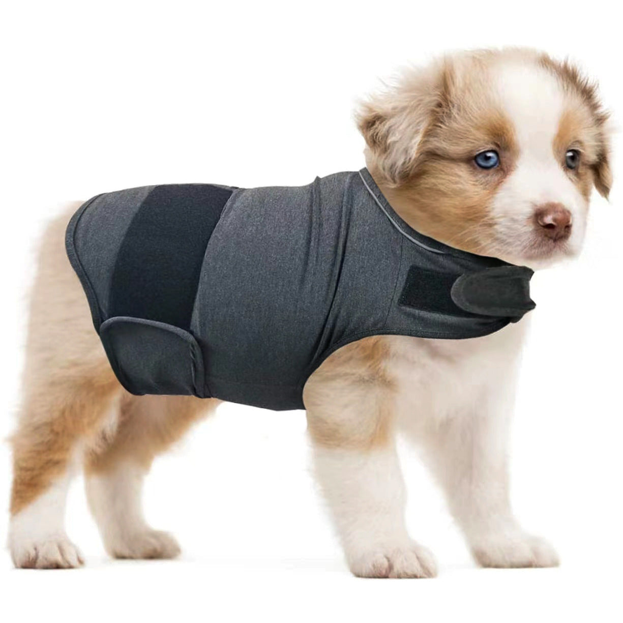 Pet Cmfort Vest Dog Anxiety Relief Clothing Puppy Clothing
