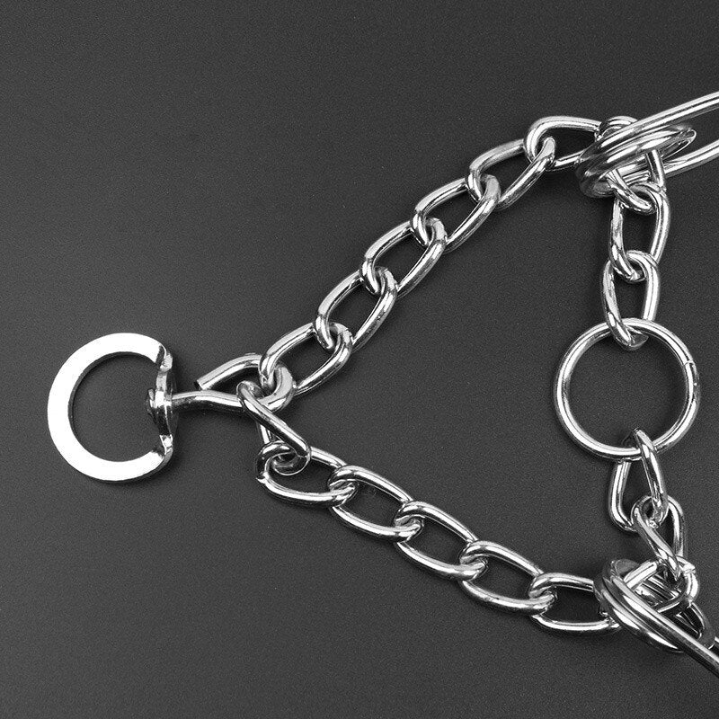 Pinch Dog Training Collar With Comfort Rubber Tips Detachable Stainless Steel Collar