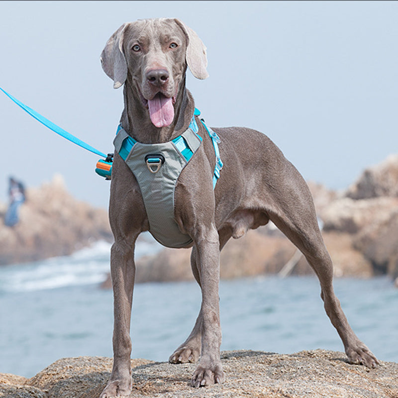 Portable Pet Vest Harness For Medium Dogs