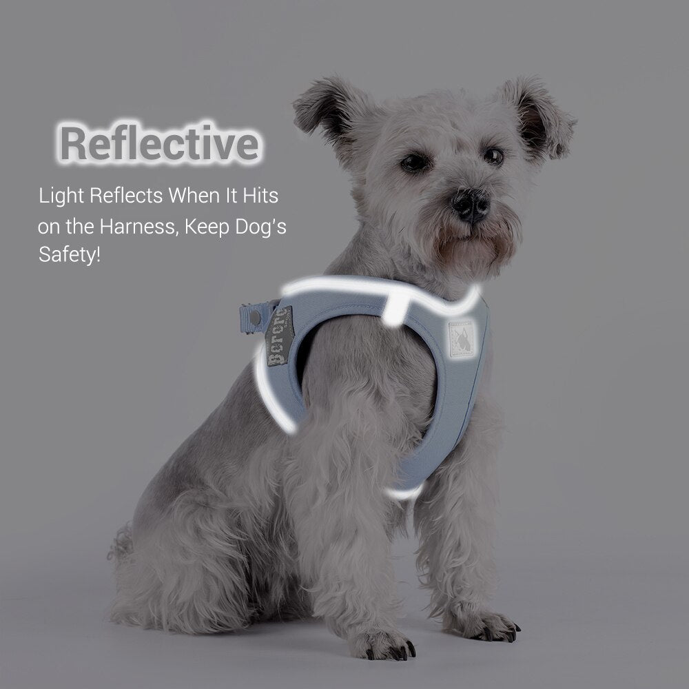 Adjustable Reflective Dog Harness and Leash Set Dogs Macaroon Soft Vest