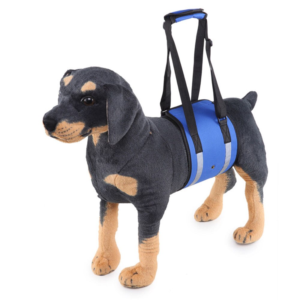 Reflective Models Carry Dog Belt Adjustable Dog Hand Strap