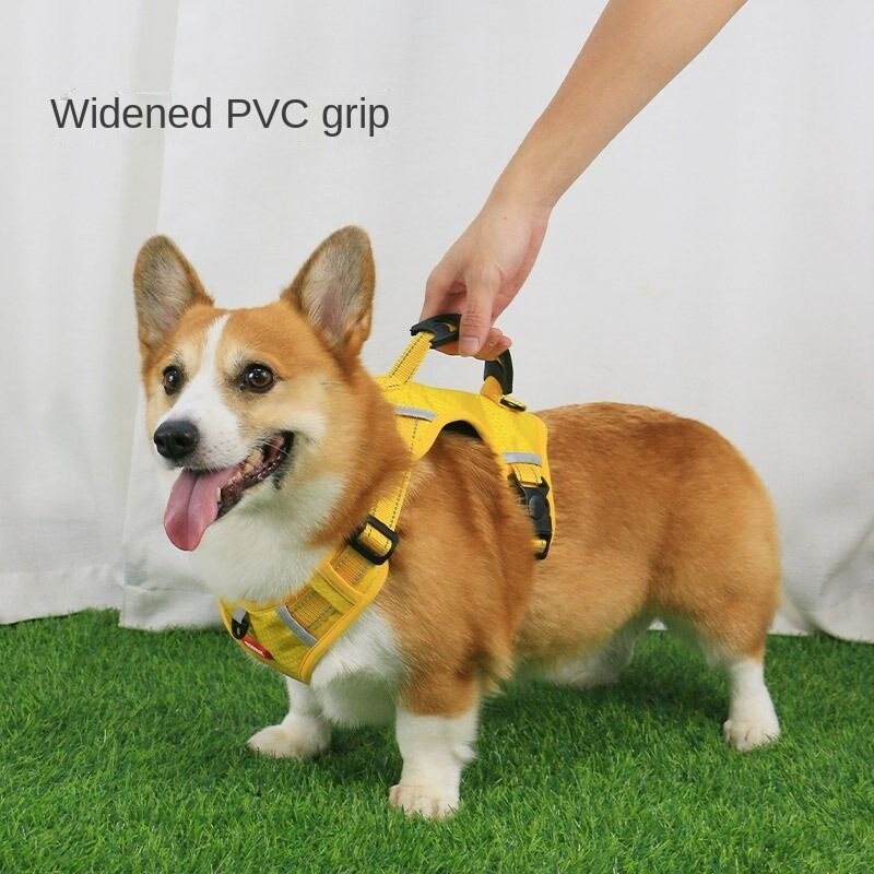 Reflective Pet Dog Harness Vest And Adjustable Dog Leash Set