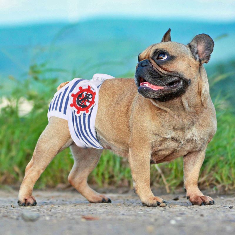 Reusable Dog Diapers Pants Set Dog Physiological Pants Set