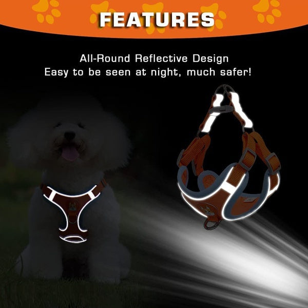 Pet Dog Harness and Leash Set Adjustable Reflective Leashes Set