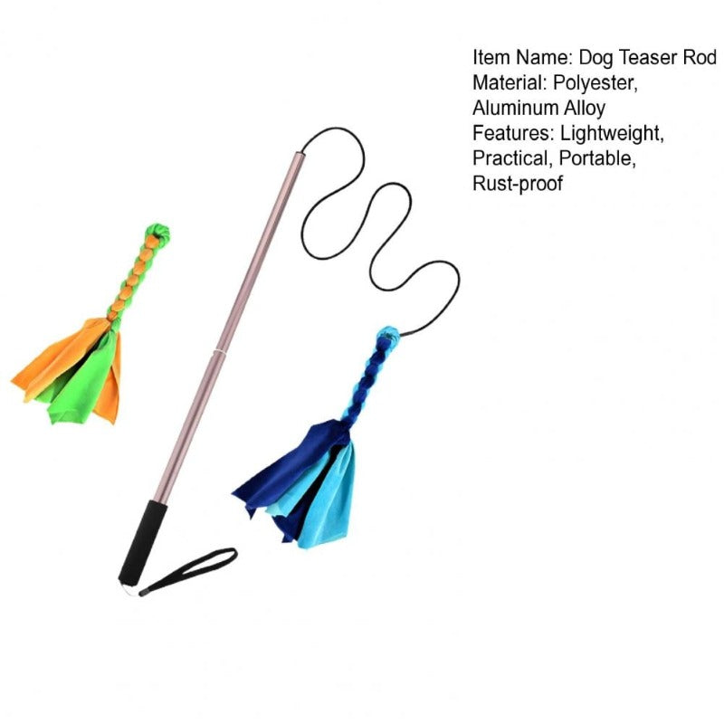 Dogs Flirt Lure Pole Stick Dog Extendable Teaser