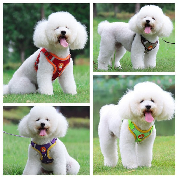 Pet Dog Harness and Leash Set Adjustable Reflective Leashes Set