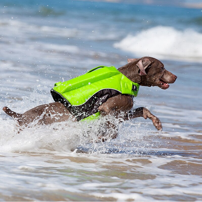 Pet Dog Life Jacket With Rescue Handle S~XL