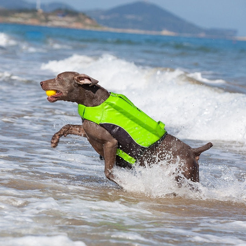 Pet Dog Life Jacket With Rescue Handle S~XL