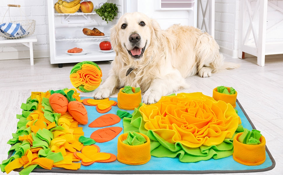 Dog Slow Feeder Mat For Dogs Pet Foraging Mat and Interactive Toys