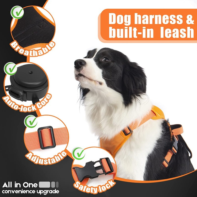 Dog Harness with Retractable Dog Leash