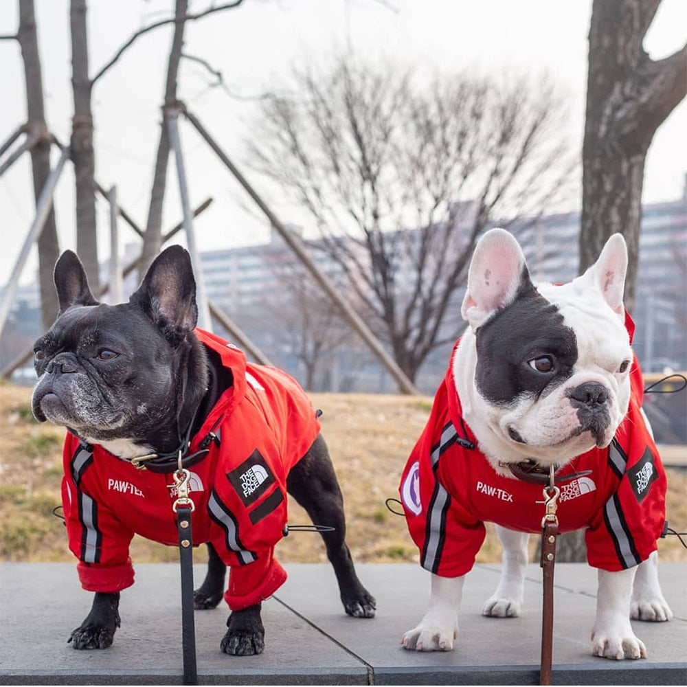 Pet Clothes Fashion Reflective Dog Raincoat Windproof Waterproof Dog Jacket Windbreaker